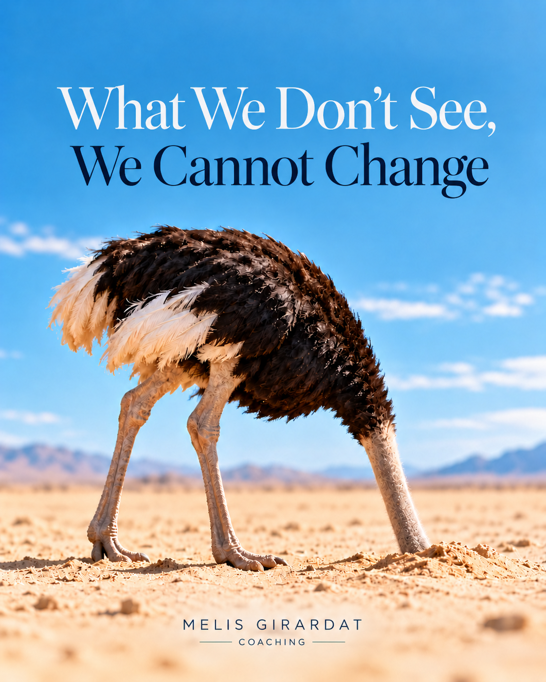 Ostrich illustration with the words What We Don’t See, We Cannot Change